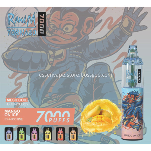 Hot Sale Prefect Price RandM TORNADO 7000Puffs